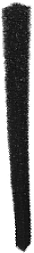 Reinforcement Foam